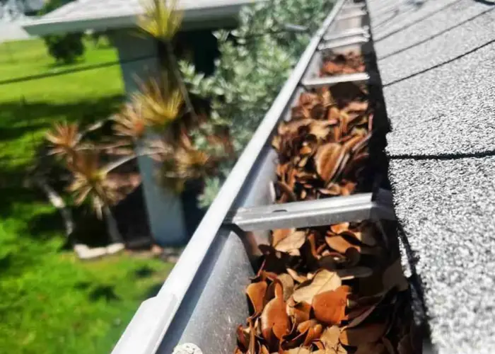 Zebulon gutter cleaning home page